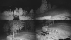 Composite photo of the surroundings of the Myslivna cabin