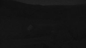 Stará ves - Fotbalové hřiště - 8.5.2025 v 22:00 Stará ves - Fotbalové hřiště - 8.5.2025 v 22:00