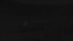 Stará ves - Fotbalové hřiště - 8.5.2025 v 23:00 Stará ves - Fotbalové hřiště - 8.5.2025 v 23:00