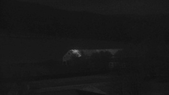 Snímek 7.11.2025 v 02:30