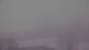 Stará ves - Fotbalové hřiště - 11.2.2026 v 07:00 Stará ves - Fotbalové hřiště - 11.2.2026 v 07:00