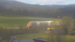 Fotbalové hřiště