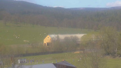 Fotbalové hřiště