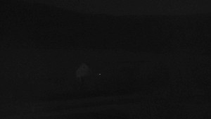 Stará ves - Fotbalové hřiště - 29.4.2026 v 02:00 Stará ves - Fotbalové hřiště - 29.4.2026 v 02:00