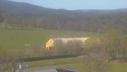 Fotbalové hřiště