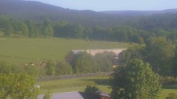 Fotbalové hřiště