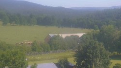 Fotbalové hřiště