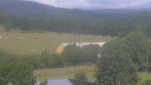 Old village - Football field - 21.7.2026 v 12:30 Old village - Football field - 21.7.2026 v 12:30
