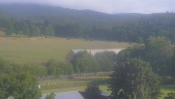 Fußballfeld
