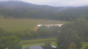 Stará ves - Fotbalové hřiště - 5.9.2026 v 08:00 Stará ves - Fotbalové hřiště - 5.9.2026 v 08:00