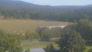 Altes Dorf - Fußballfeld - 8.9.2026 v 08:30 Altes Dorf - Fußballfeld - 8.9.2026 v 08:30
