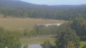 Altes Dorf - Fußballfeld - 8.9.2026 v 09:30 Altes Dorf - Fußballfeld - 8.9.2026 v 09:30