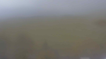 Snímek    26.10.2025 v 13:00