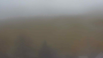 Snímek    3.11.2025 v 12:00