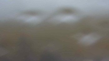 Snímek    3.11.2025 v 13:30