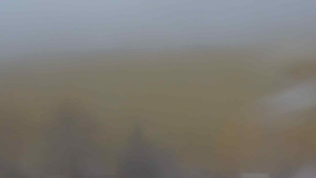 Snímek    3.11.2025 v 14:30