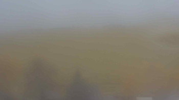 Snímek    3.11.2025 v 15:00