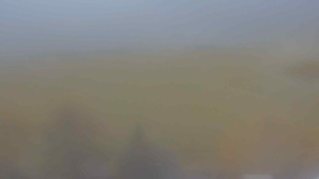 Snímek    3.11.2025 v 15:30