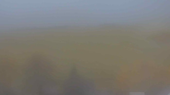 Snímek    3.11.2025 v 16:00