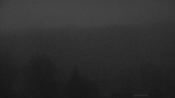 Snímek 5.11.2025 v 00:30