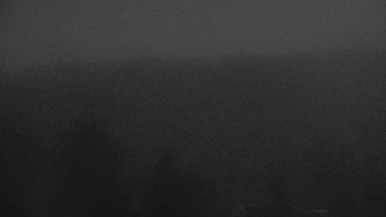 Snímek 6.11.2025 v 03:00