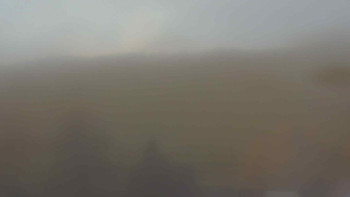 Snímek 7.11.2025 v 07:00