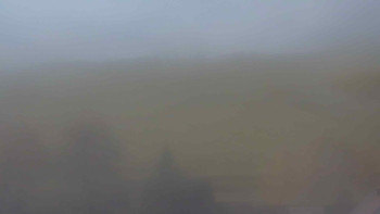 Snímek 7.11.2025 v 11:00