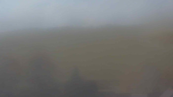 Snímek 7.11.2025 v 11:30