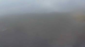 Snímek 7.11.2025 v 12:00