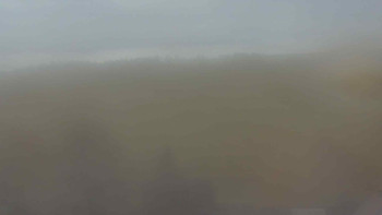 Snímek 8.11.2025 v 11:30