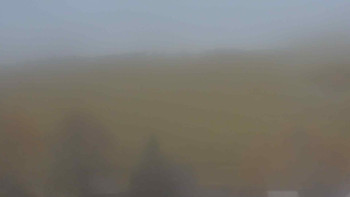 Snímek 8.11.2025 v 13:30