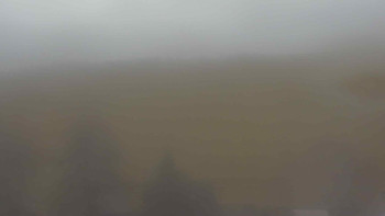 Snímek 15.11.2025 v 12:00