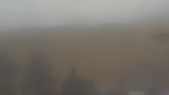 Snímek 21.11.2025 v 08:00