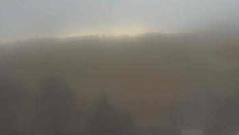 Snímek 21.11.2025 v 14:00