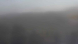 View to the south (4)