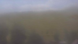 View to the south (4)