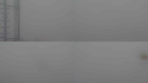 Stará ves - Sdružený snímek - 14.11.2025 v 10:30 Stará ves - Sdružený snímek - 14.11.2025 v 10:30