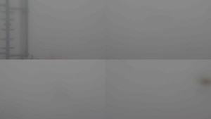 Stará ves - Sdružený snímek - 14.11.2025 v 11:00 Stará ves - Sdružený snímek - 14.11.2025 v 11:00