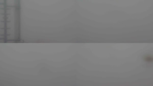 Stará ves - Sdružený snímek - 14.11.2025 v 12:30 Stará ves - Sdružený snímek - 14.11.2025 v 12:30