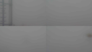 Stará ves - Sdružený snímek - 14.11.2025 v 14:00 Stará ves - Sdružený snímek - 14.11.2025 v 14:00