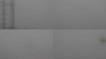 Snímek 14.11.2025 v 14:30