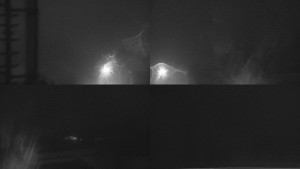 Stará ves - Sdružený snímek - 12.2.2026 v 04:00 Stará ves - Sdružený snímek - 12.2.2026 v 04:00