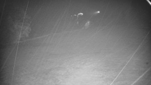 Skiareál Karolinka - Otočná kamera na sjezdovce - 7.10.2025 v 02:02 Skiareál Karolinka - Otočná kamera na sjezdovce - 7.10.2025 v 02:02