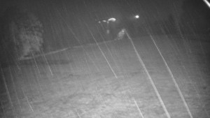 Skiareál Karolinka - Otočná kamera na sjezdovce - 7.10.2025 v 03:32 Skiareál Karolinka - Otočná kamera na sjezdovce - 7.10.2025 v 03:32