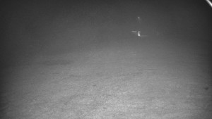 Skiareál Karolinka - Otočná kamera na sjezdovce - 7.10.2025 v 22:32 Skiareál Karolinka - Otočná kamera na sjezdovce - 7.10.2025 v 22:32