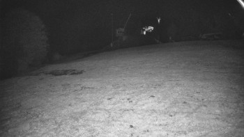 Snímek    25.10.2025 v 04:32