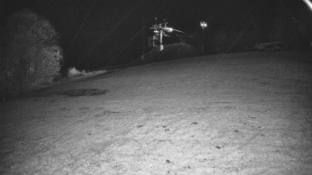 Snímek    25.10.2025 v 23:50