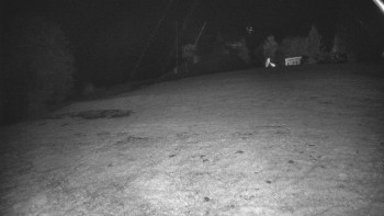 Snímek    27.10.2025 v 18:20