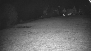 Snímek    27.10.2025 v 19:25