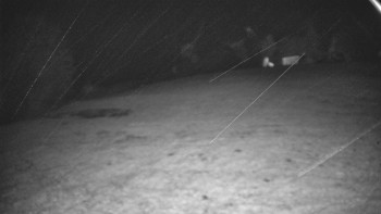 Snímek    27.10.2025 v 23:10